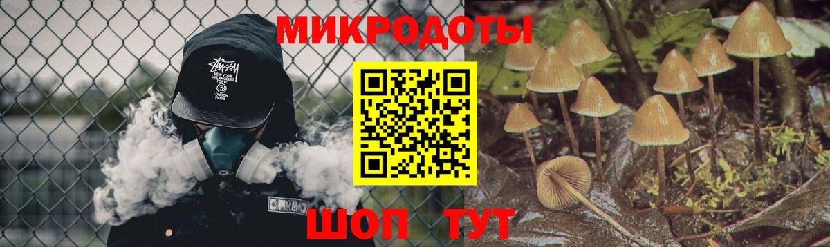 Галлюциногенные грибы Magic Shrooms  Вход с VPN  Галлюциногенные грибы Psilocybe  Армавир 